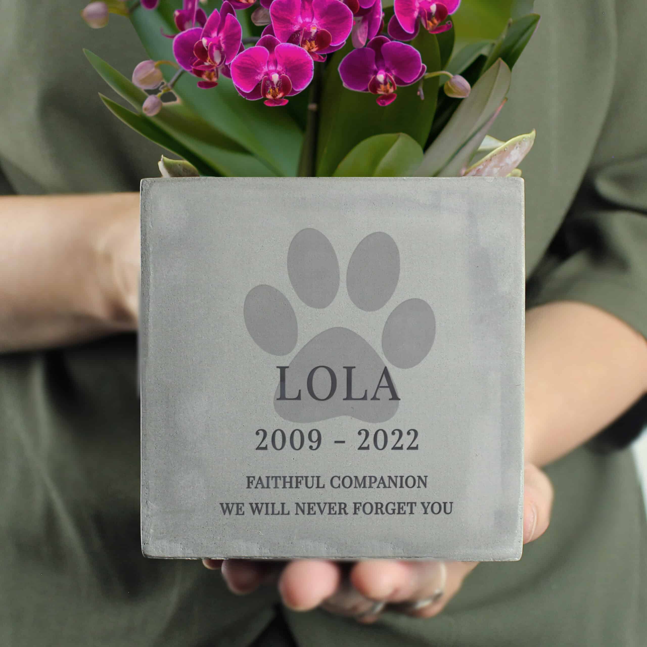 Custom concrete paw print memorial plant pot for dogs, personalised with pet's name and years.