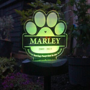 Custom dog memorial solar light with paw print design and engraved name 