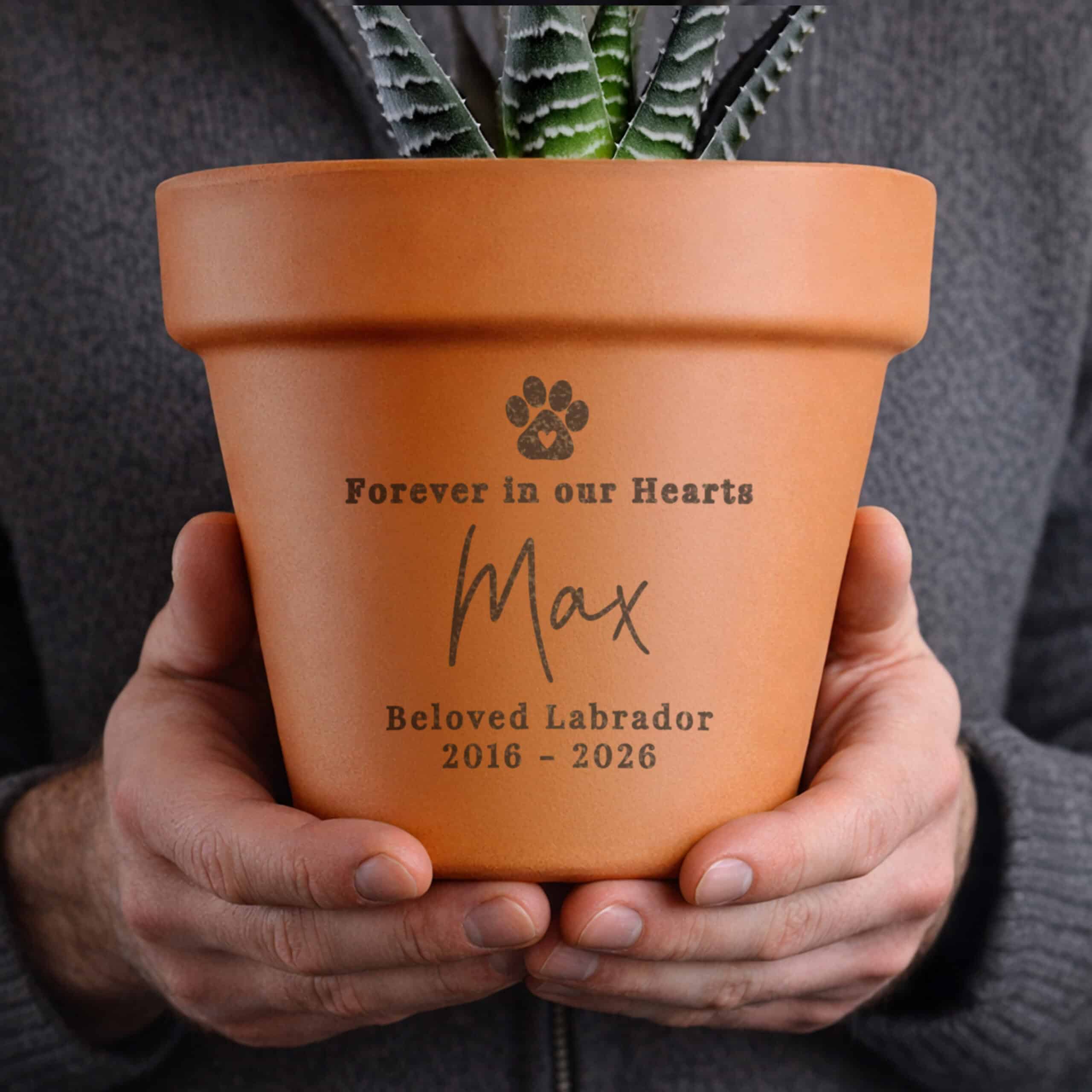 Engraved terracotta pot for beloved Labrador Max.