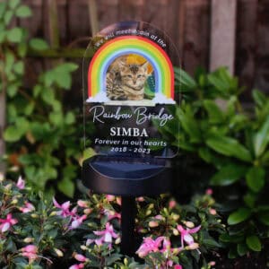 Personalised Rainbow Bridge dog memorial solar light with cat image and colourful rainbow design.