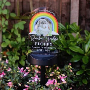 Rainbow Bridge themed dog memorial solar lights with uploaded photo